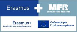 Erasmus