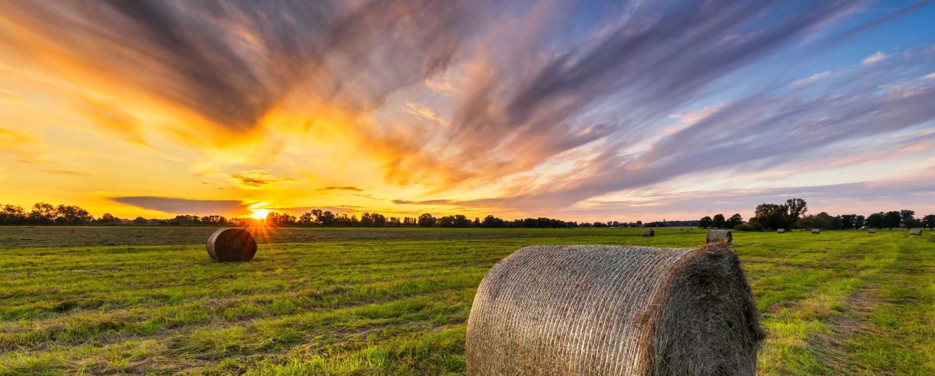 AdobeStock_480119360-8192x3294-optimized (1).jpg